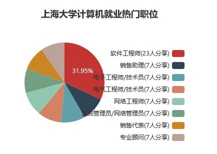深度解读当下最火的专业 计算机科学与技术攻略与开发实战指南