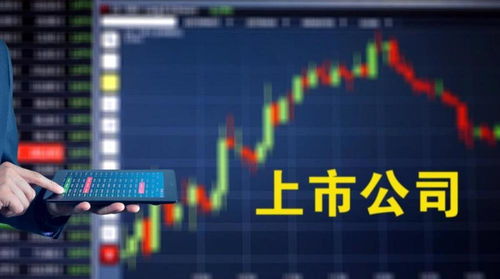 4个月里第3次披露增持计划，新海宜能否保壳成功？计算机技术开发成关键